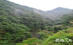 江西九連山國家森林公園旅遊攻略之田心峽谷