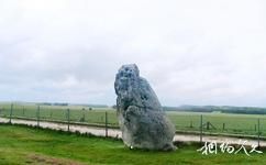 英国巨石阵旅游攻略之巨石阵种石