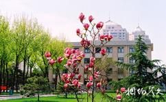 中國農業大學校園概況之校園春意