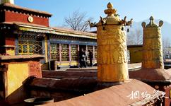 西藏扎基寺旅遊攻略之扎基寺頂層