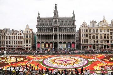 比利时布鲁塞尔大广场-鲜花地毯照片