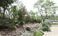 上海辰山植物園旅遊攻略之蕨類植物園