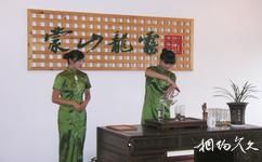 沂水蒙山龍霧茶博園旅遊攻略之茶藝表演區