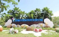 海口桂林洋国家热带农业公园旅游攻略