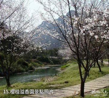 濮陽綠色莊園景區-櫻桂溢香園照片
