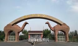 新和沙漠花海景區驢友相冊