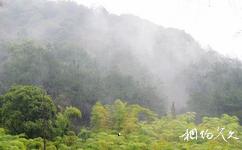 杭州東明山森林公園旅遊攻略之東明山夏景