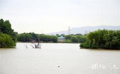 西安灞橋生態濕地公園旅遊攻略之原生態濕地公園