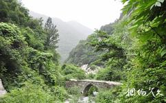 河南小秦岭国家级自然保护区旅游攻略之亚武山