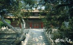 北京故宫旅游攻略之钦安殿