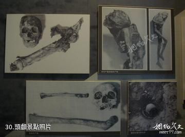 大同煤礦展覽館-頭顱照片