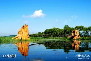 佳木斯富锦国家湿地公园-谐然桥照片