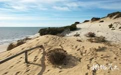 西班牙多尼亞納國家公園旅遊攻略之沙丘