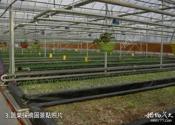 津南國家農業科技園-蔬果採摘園照片