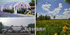 中卫腾格里沙漠湿地·金沙岛旅游区驴友相册