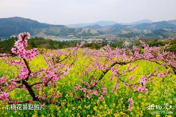 長興城山溝-桃花照片