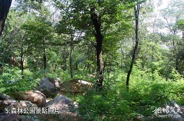 石家莊封龍山風景名勝區-森林公園照片