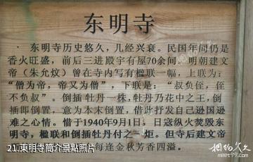 杭州東明山森林公園-東明寺簡介照片