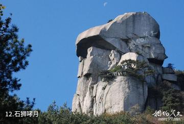 岳西妙道山风景区-石狮哮月照片