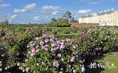 拉脫維亞隆黛爾宮旅遊攻略之祖波夫玫瑰園