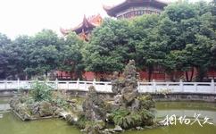 成都昭覺寺旅遊攻略之放生池