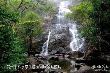 賀州十八水原生態園景區照片