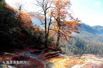 昭通小草壩風景區-風景照片