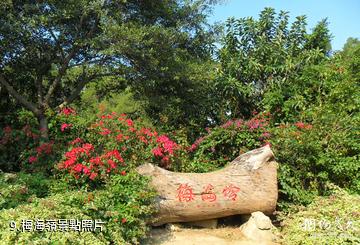 廈門東坪山公園-梅海嶺照片