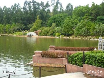 佛山三水森林公园-鸳鸯湖照片