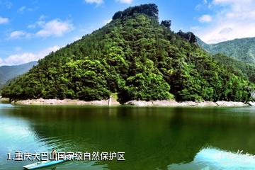 重庆大巴山国家级自然保护区照片