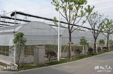 上海宏泰园-种植区照片