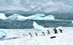 南极半岛旅游攻略