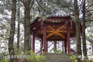 岳西妙道山風景區-聽濤亭照片