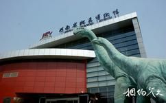 河南省地质博物馆旅游攻略