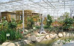 蘇州中國花卉植物園旅遊攻略之花卉景觀溫室展示廳