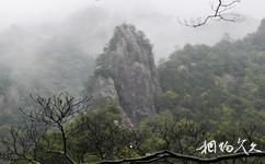 温州永嘉龙湾潭国家森林公园旅游攻略之石墙