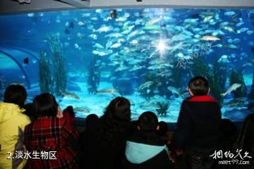 杭州海底世界-淡水生物区照片