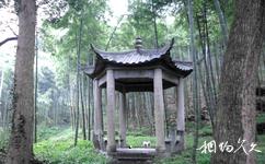 杭州東明山森林公園旅遊攻略之雲亭