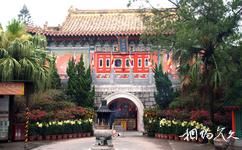 香港寶蓮禪寺旅遊攻略之彌勒殿