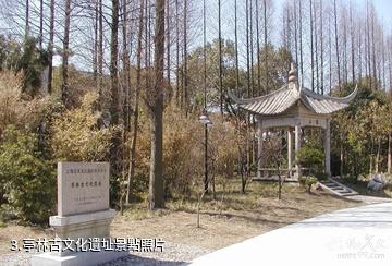 上海亭林遺址公園-亭林古文化遺址照片