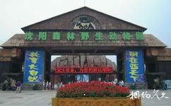 瀋陽森林動物園旅遊攻略之瀋陽森林動物園