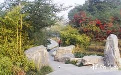 西安丰庆公园旅游攻略之绿树