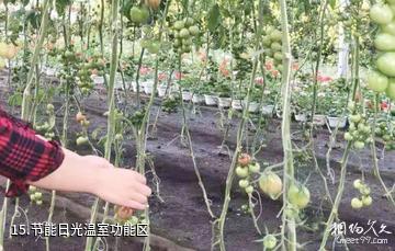鹤岗宝泉岭现代农业生态园-节能日光温室功能区照片