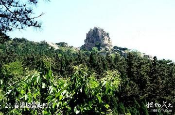 泰安徂徠山國家森林公園-春陽坡照片
