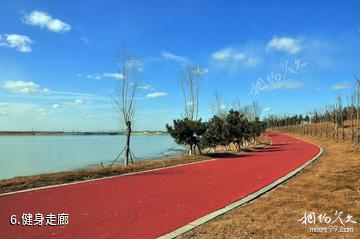 东营鸣翠湖湿地风景区-健身走廊照片