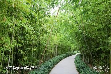 徐州金龍湖風景區-四季景園照片