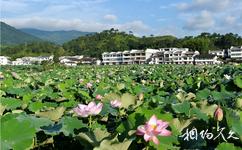 廣昌中國蓮花旅遊攻略之中國蓮花景區