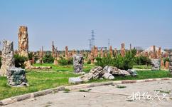 遼寧朝陽鳥化石國家地質公園旅遊攻略之化石林