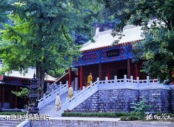 山東靈泉寺-靈泉寺照片