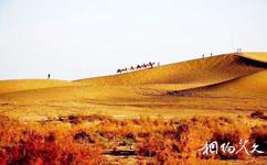 和田大漠胡楊林旅遊攻略之沙漠